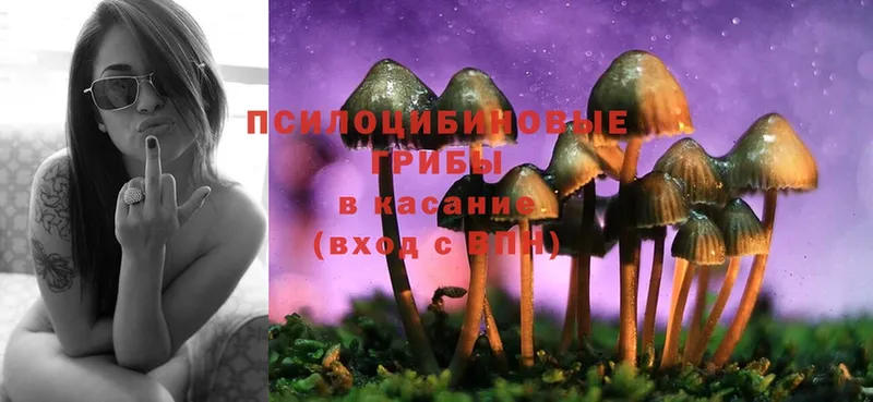 сайты даркнета клад  Кропоткин  Псилоцибиновые грибы Cubensis 